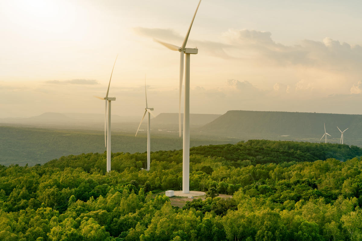 Windkraftanlagen in einer grünen Waldlandschaft bei warmem Sonnenlicht