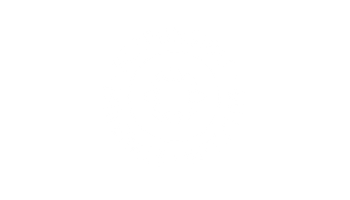 responsible mineral initative logo